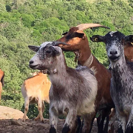 Apartmán At Rural Navalinda