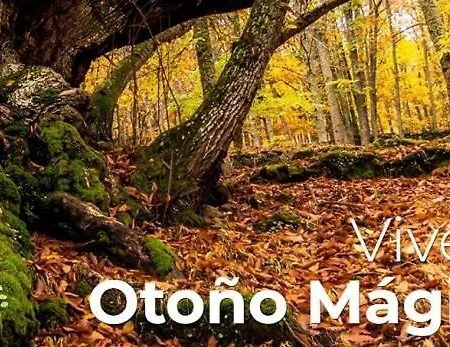 At Rural Navalinda Daire Casas del Monte