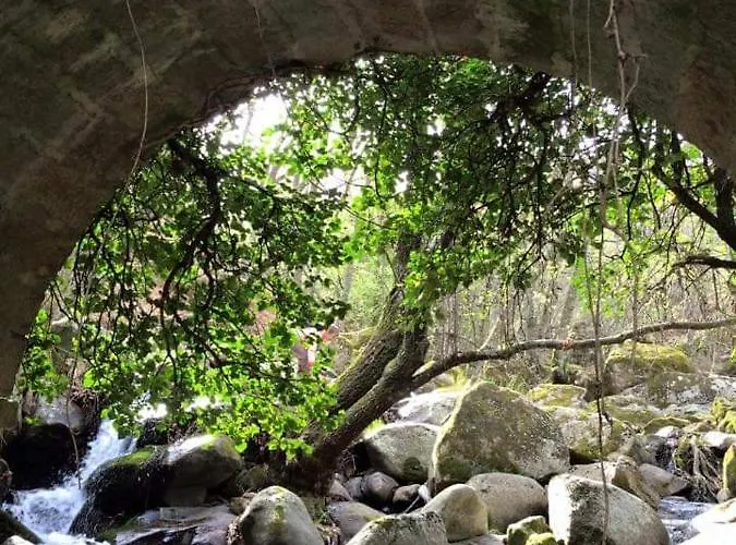 At Rural Navalinda *