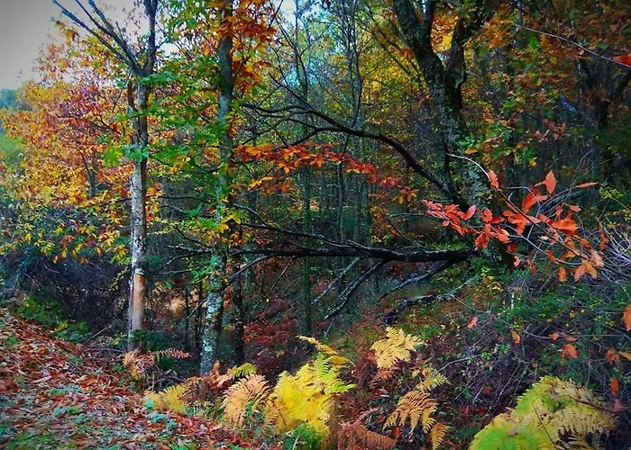 At Rural Navalinda Apartamento