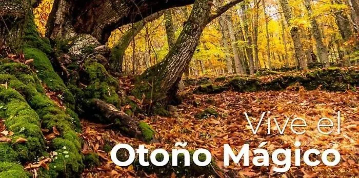 At Rural Navalinda Appartement Casas del Monte